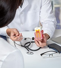 Dentist showing patient model of a tooth
